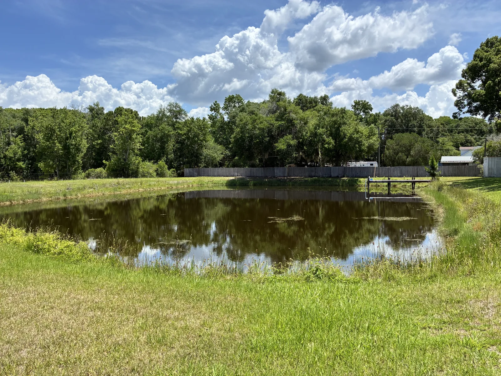 Stocked half-acre pond on the Leesburg estate grounds